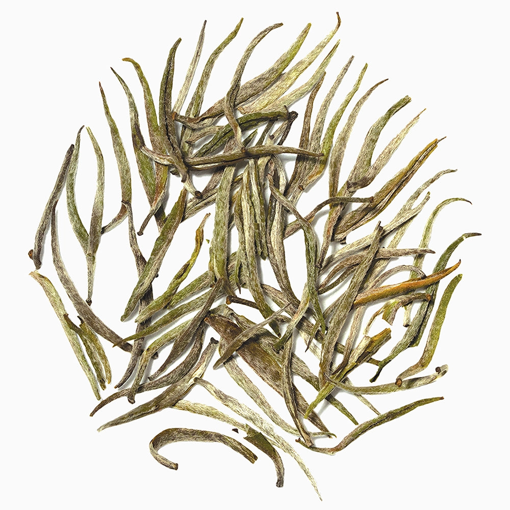 Close-up of Teastories' The Lockhart Lux premium white tea leaves, showcasing their silvery tips
