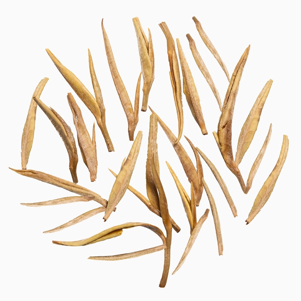 Close-up of Teastories' The Lockhart Lux premium white tea leaves, shown after steeping