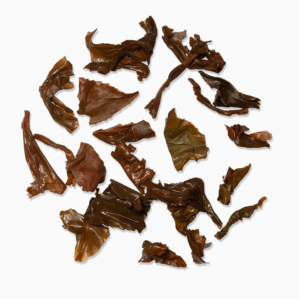 Dried seaweed on white background — associated with Lockhart Noir.
