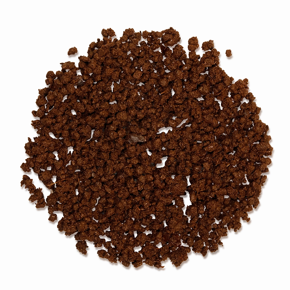 Close-up of surianalle sequel dry leaves — showing rich texture and granules.